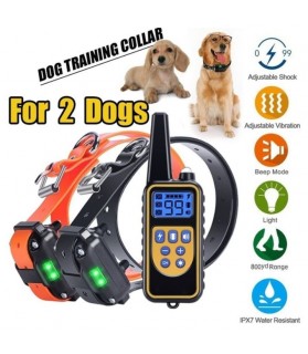 Colliers GPS Colliers chien d'entrainement à distance  99,00 €
