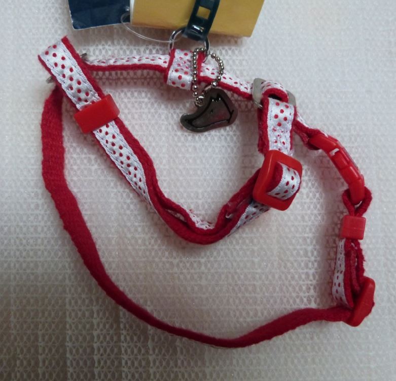 Harnais Petits Pois pour petit chien ou chat Couleur Blanc fr