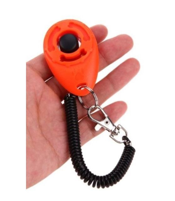 Education canine Education chien - Clicker d'éducation canine ChezAnilou 3,00 €