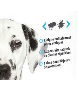 antiparasitaires canins Pipettes Répulsives puces et tiques pour chiot Hery Laboratoire Héry 7,00 €
