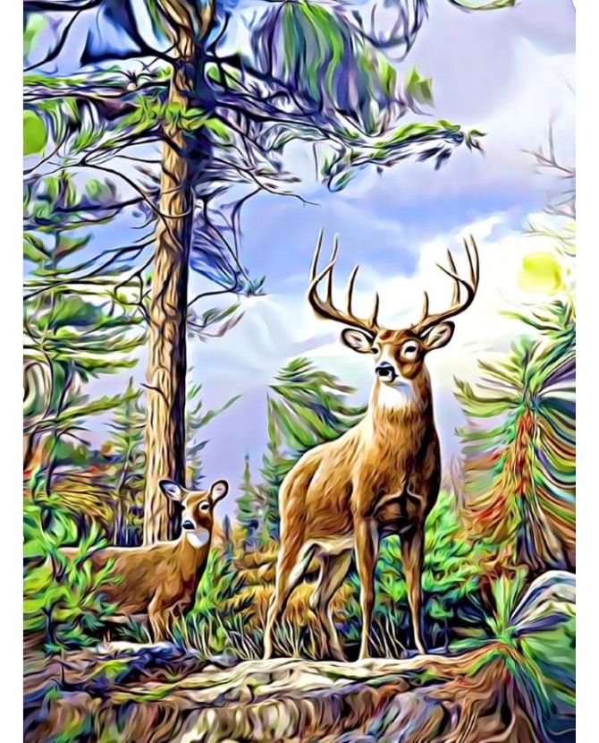 Poster animalier ChezAnilou Poster Biche et cerf dans les bois ChezAnilou 17,00 €