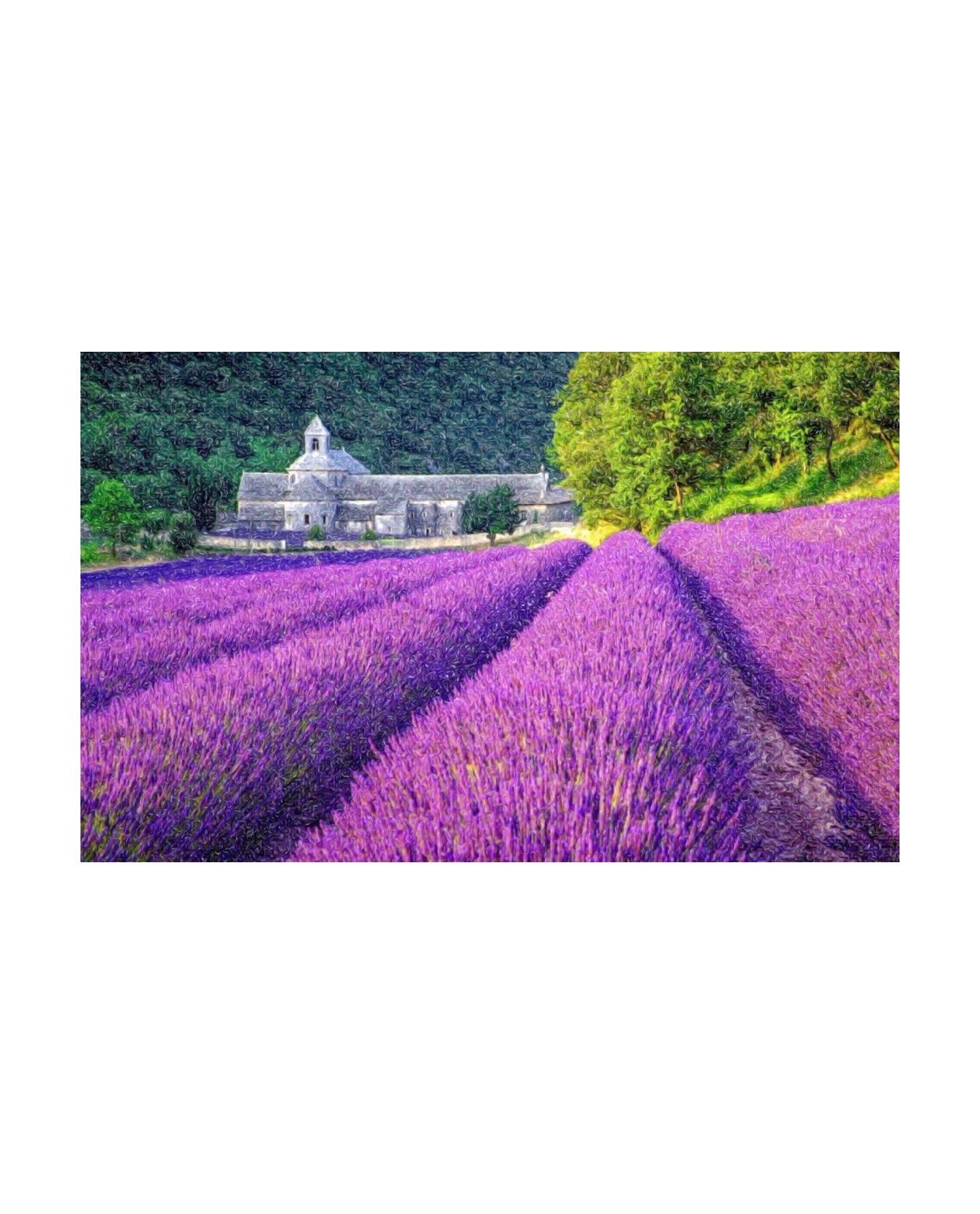 Peintures fleurs au naturel Poster champ de lavande ChezAnilou 17,00 € Peintures fleurs au naturel Poster champ de lavande ChezAnilou 17,00 €