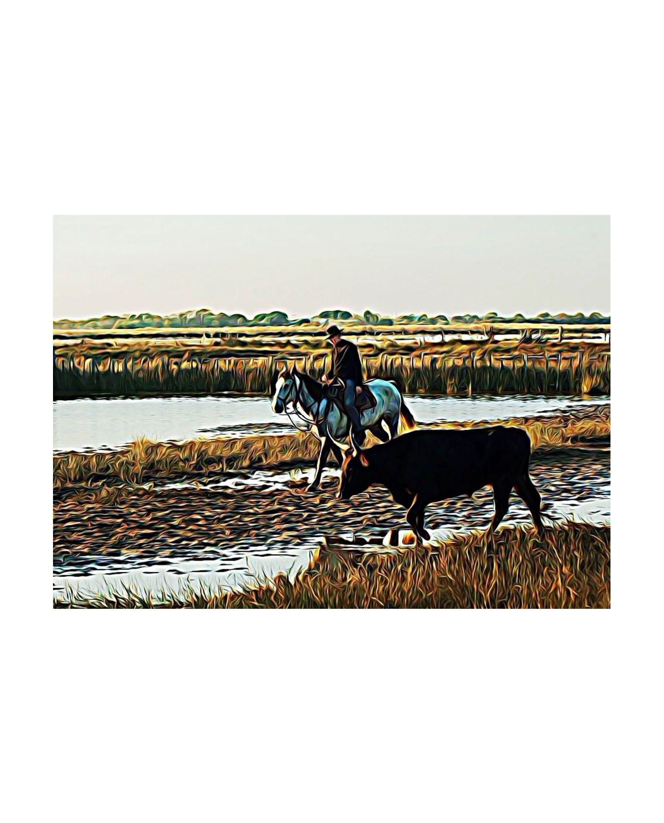 Poster animalier ChezAnilou Poster La Camargue ChezAnilou 17,00 € Poster animalier ChezAnilou Poster La Camargue ChezAnilou 17,00 €