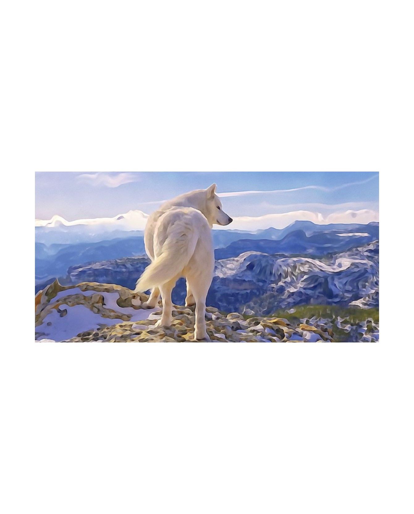 Poster animalier ChezAnilou Poster Le loup Blanc ChezAnilou 17,00 € Poster animalier ChezAnilou Poster Le loup Blanc ChezAnilou 17,00 €
