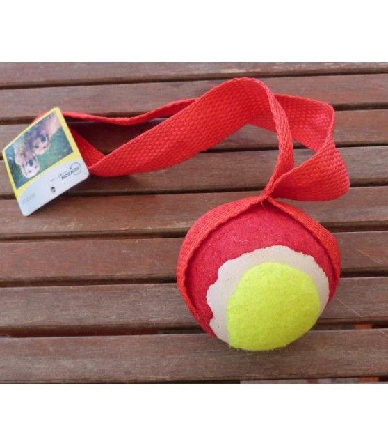 Jouets chien à lancer Jouet chien balle de tennis à lancer  5,00 €