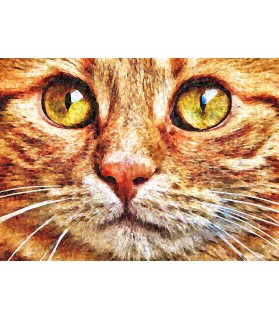 Peintures sur les chats Portrait Chat tigre aux beaux yeux Chez Anilou 15,00 €