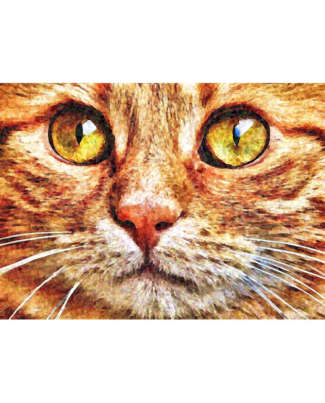 Peintures sur les chats Portrait Chat tigre aux beaux yeux ChezAnilou 15,00 €