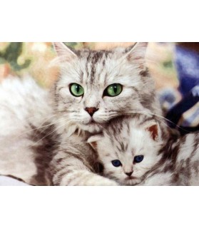 Peintures sur les chats Tableau Chat et son chaton ChezAnilou 15,00 €