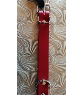 Colliers simili et cuir Collier chien Cuir Amazone Rouge  7,00 €