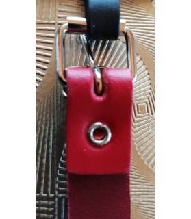 Colliers simili et cuir Collier chien Cuir Amazone Rouge  7,00 €