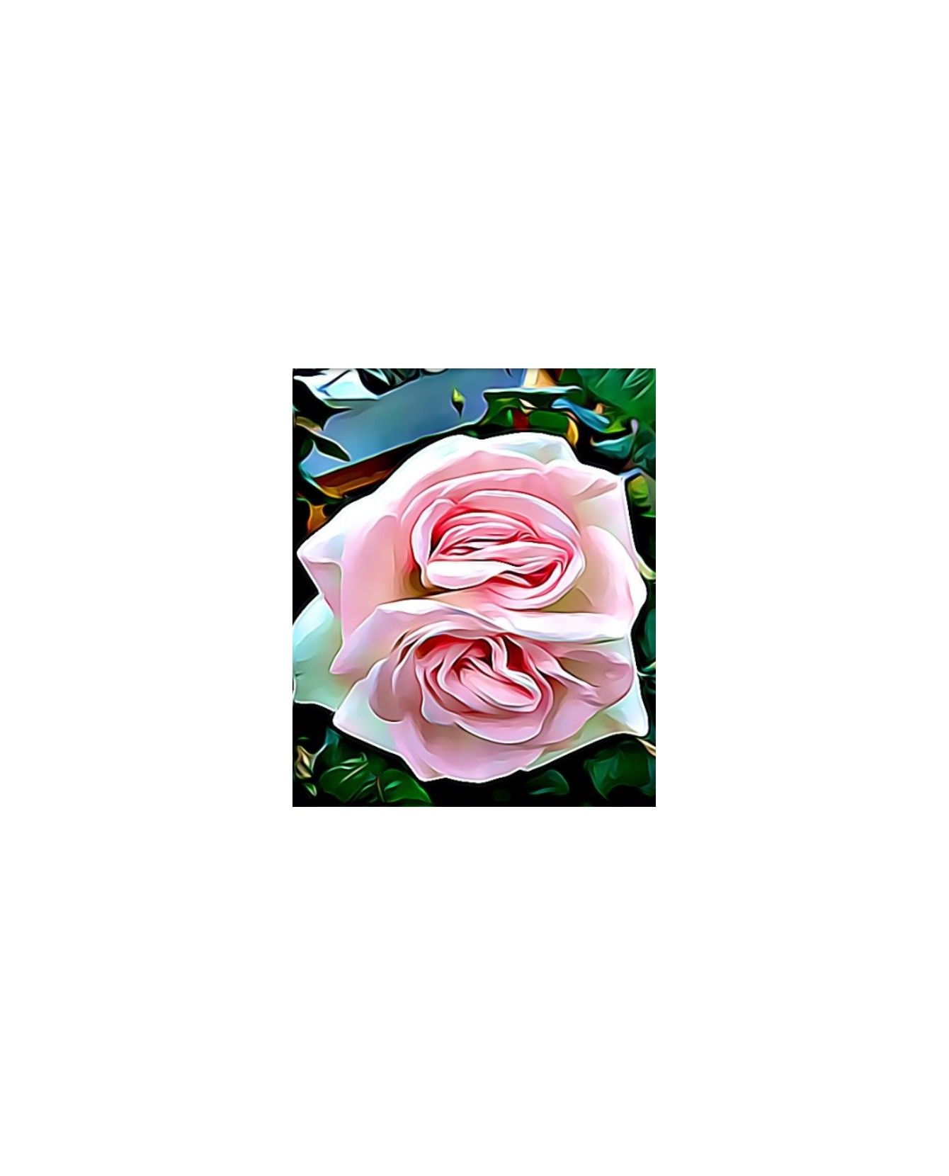 Peintures fleurs au naturel Peinture la double Rose rose ChezAnilou 15,00 € Peintures fleurs au naturel Peinture la double Rose rose ChezAnilou 15,00 €