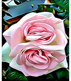 Peintures fleurs au naturel Peinture la double Rose rose ChezAnilou 15,00 €