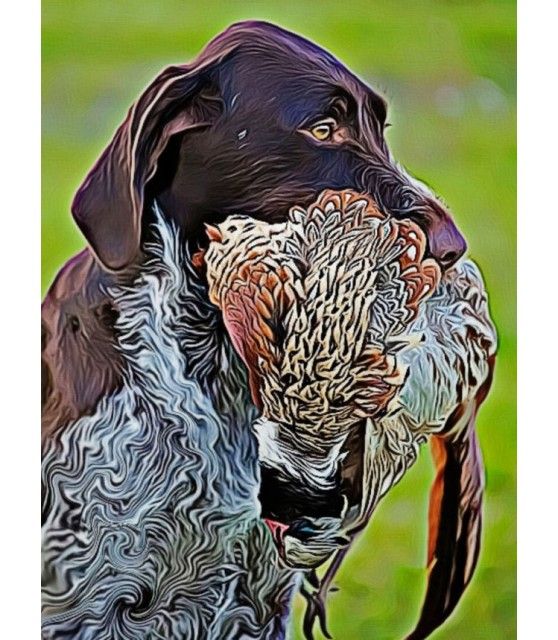 Peintures thème chasse Poster Le rapport du faisan ChezAnilou 17,00 €