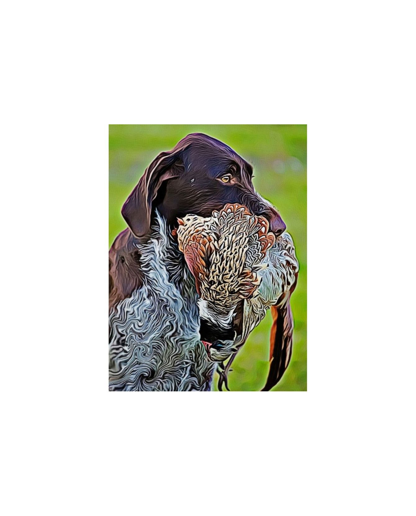 Peintures thème chasse Poster Le rapport du faisan ChezAnilou 17,00 € Peintures thème chasse Poster Le rapport du faisan ChezAnilou 17,00 €