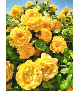 Peintures fleurs au naturel Tableau Bouquet de roses jaunes Chez Anilou 15,00 €