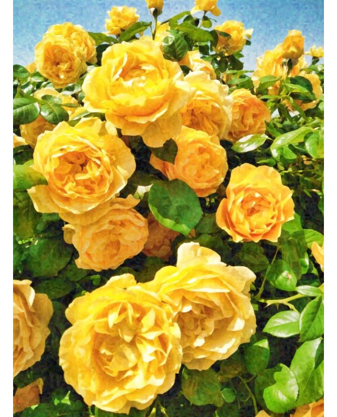 Peintures fleurs au naturel Tableau Bouquet de roses jaunes ChezAnilou 15,00 €