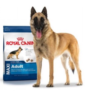 Croquettes pour chien Royal Canin Maxi Adulte - 15 kg  67,00 €