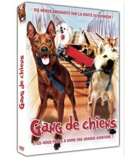 Des films avec des animaux DVD - DOG la folle aventure  5,00 €
