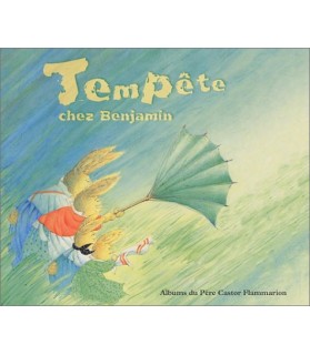 Livres années maternelles Livre enfant - Tempête chez Benjamin - Père Castor  2,50 €