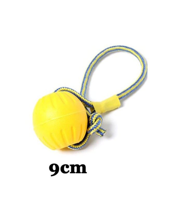 Jouets chien à lancer Jouet balle dur jaune avec corde  9,00 €