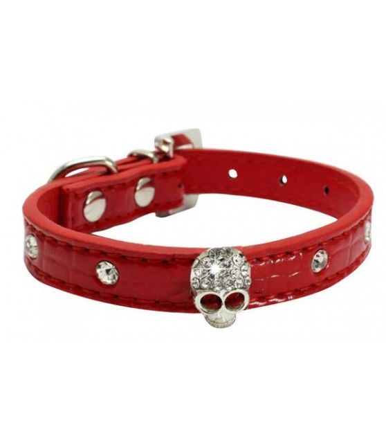Collier chien tête de mort boucle