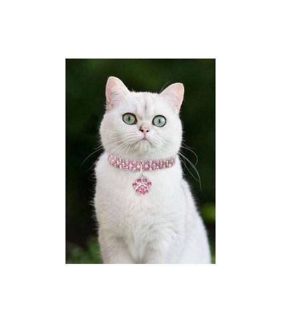 Colliers chat Collier chat strass rouge et blanc  8,00 €