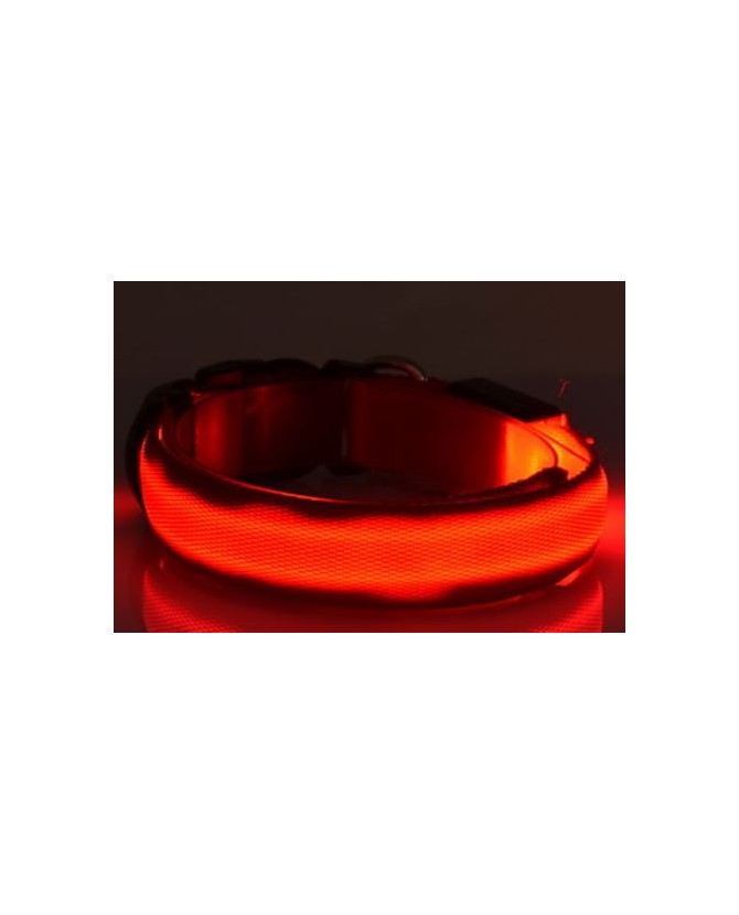 Colliers LED Collier Led vert  9,00 €
