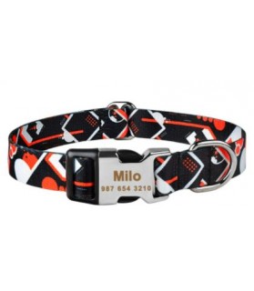 Colliers synthétiques collier pour chien Fall Mutli-marques 9,00 €