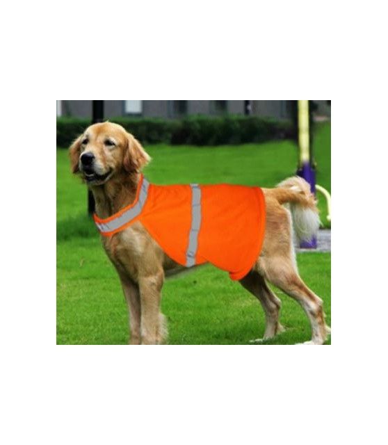 Gilet Orange de sécurité pour chien