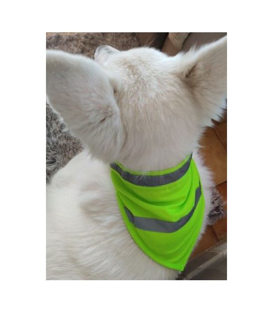 copy of Gilet Orange de sécurité pour chien