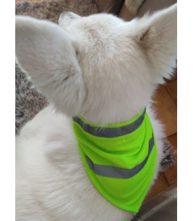 Gilet fluorescent pour chien Bandana jaune fluorescent de sécurité pour chien - TL Mutli-marques 9,00 €
