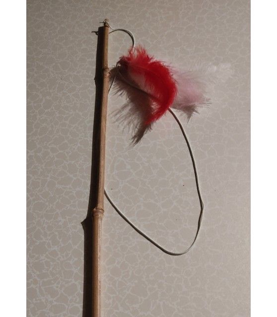 Canne à chat Jouet pour chat - canne à plumes ChezAnilou 4,99 €
