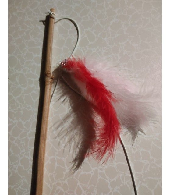 Canne à chat Jouet pour chat - canne à plumes ChezAnilou 4,99 €