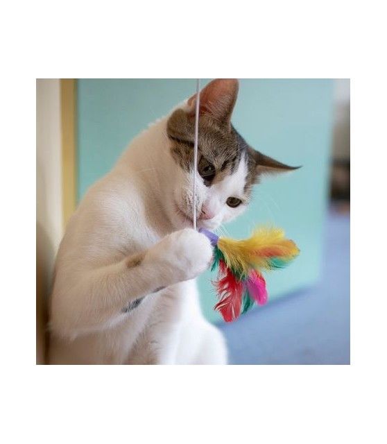 Canne à chat Jouet pour chat - canne à plumes ChezAnilou 4,99 €