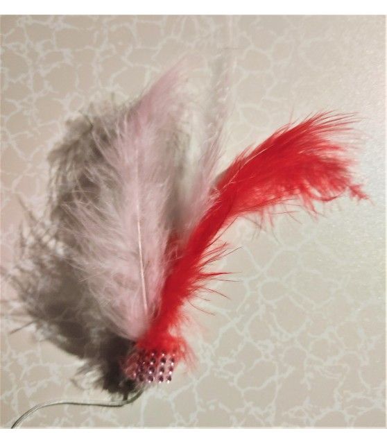 Canne à chat Jouet pour chat - canne à plumes ChezAnilou 4,99 €