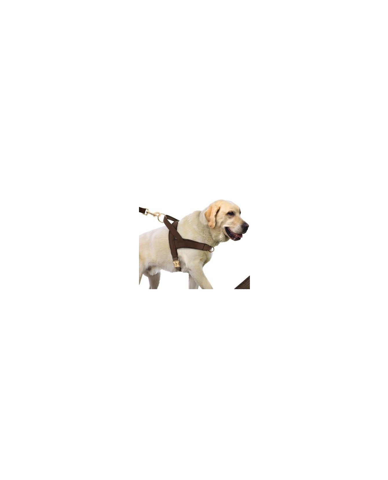 Harnais anti-traction Harnais anti-traction pour chien Mutli-marques 23,99 € Harnais anti-traction Harnais anti-traction pour chien Mutli-marques 23,99 €