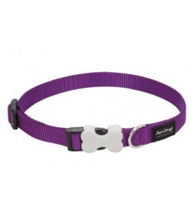 Collier chien violet Reddingo