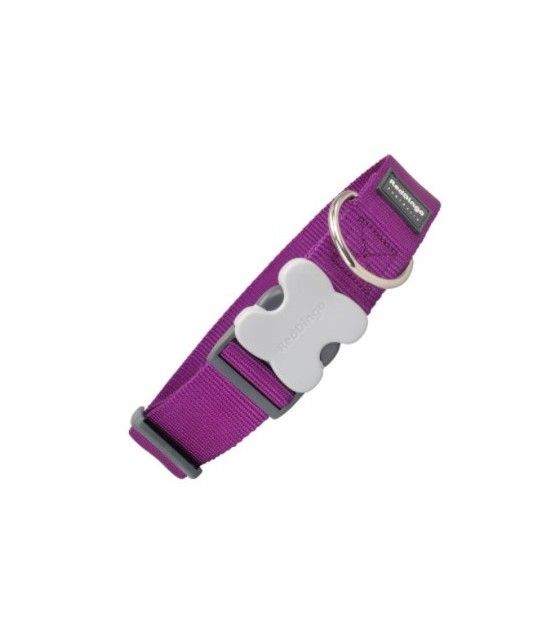 Collier chien violet Reddingo