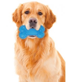 Jouets dentitions canines Jouet Os sonore et lumineux Mutli-marques 7,00 €