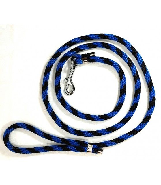 Laisse chien bleu et noir BlueTWO de chezanilou