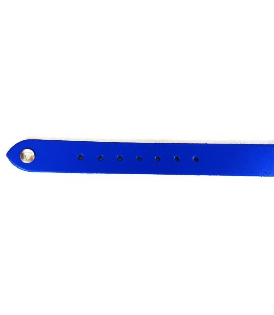 Collier bleu et cuir à boucle pour chien