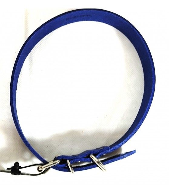 Collier bleu et cuir à boucle pour chien