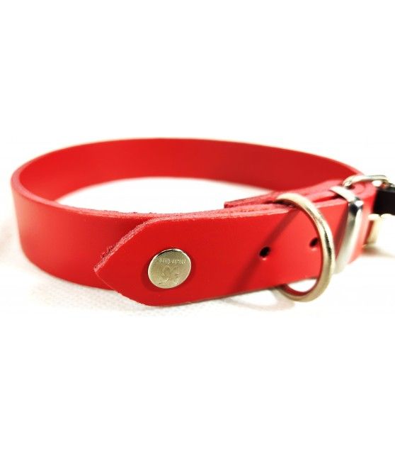 copy of Collier bleu et cuir à boucle pour chien