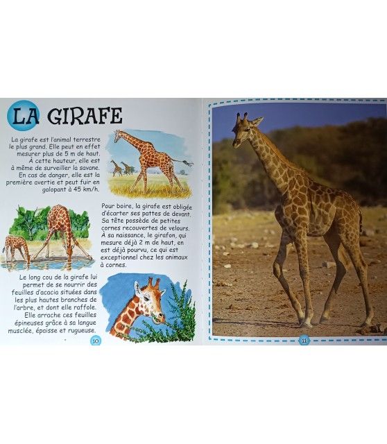 Se cultiver autrement Livre Première découverte - Les animaux de la savane  9,90 €