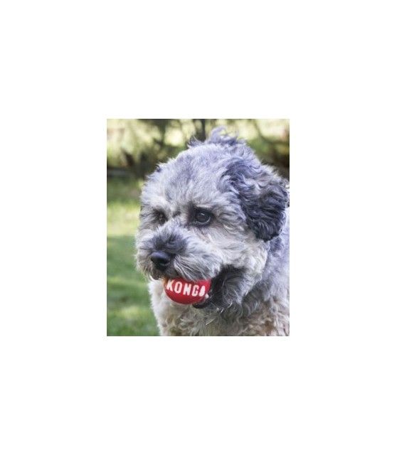 Lot de 2 Balles Kong signature pour chien