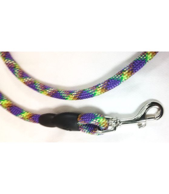 Laisse ronde Arc-en-ciel pour chien