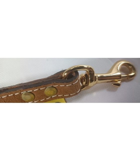 laisses courtes Laisse courte cuir pour chien Mutli-marques 9,00 €