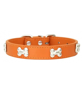Collier Nonoss pour chien