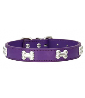 Collier chien Nonoss
