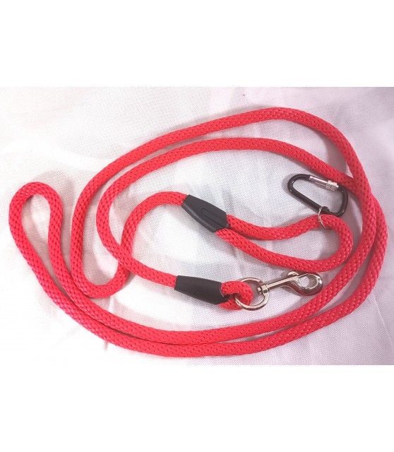 Longe longe grand chien 275 ChezAnilou 17,00 €